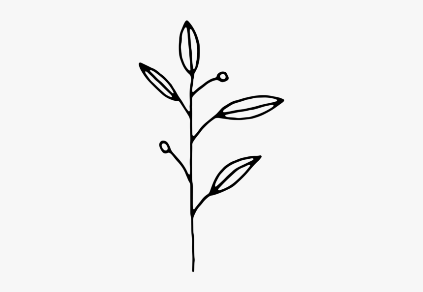 Footer Botanical - Line Art, HD Png Download, Free Download