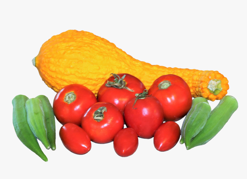 Fresh Vegetables Picture - Bush Tomato, HD Png Download, Free Download