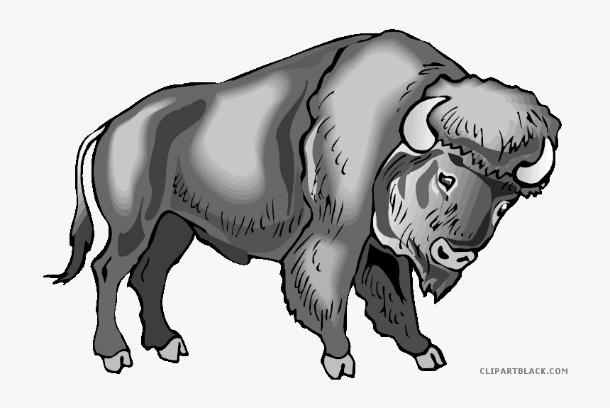 indian buffalo clipart