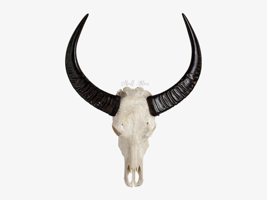 Animal Skull Png, Transparent Png, Free Download