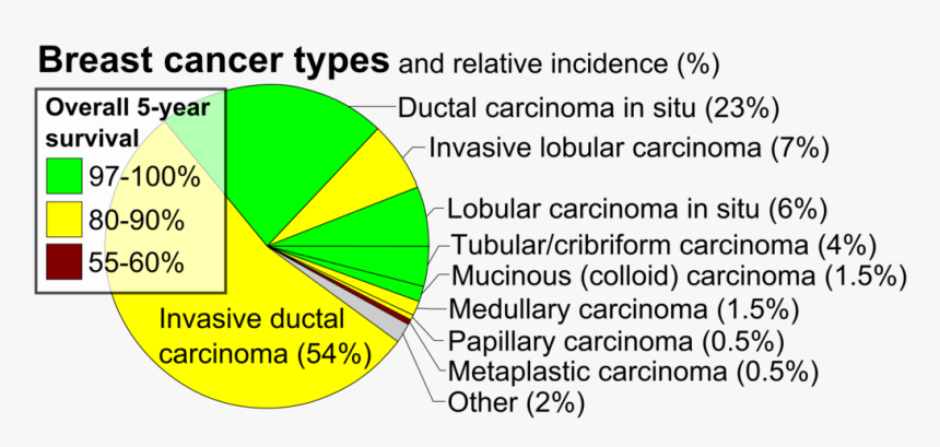 Pathological Classification Of Breast Cancer, HD Png Download, Free Download