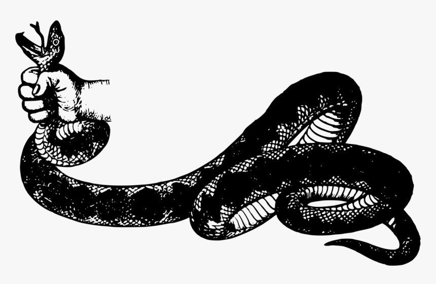 Tail,serpent,snakes - Illustration, HD Png Download, Free Download