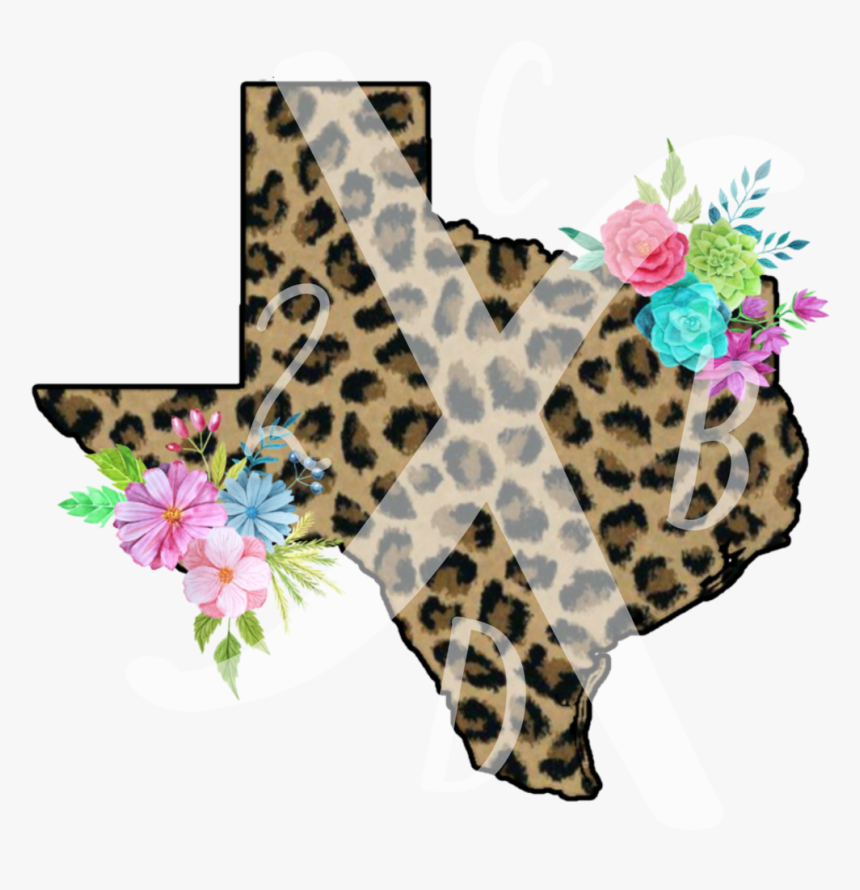 Leopard-texas, HD Png Download, Free Download