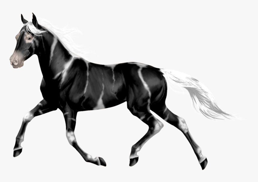 Stallion, HD Png Download, Free Download