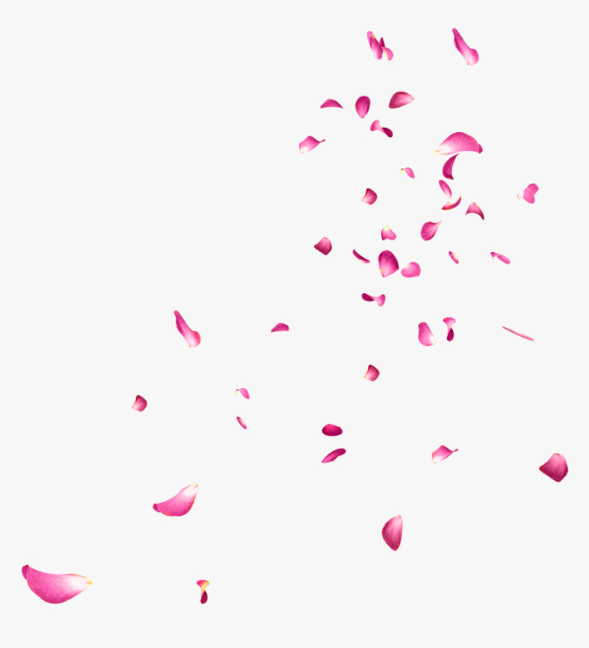 Falling Rose Petals Png Picture Falling Petals Gif Transparent Png Download Kindpng