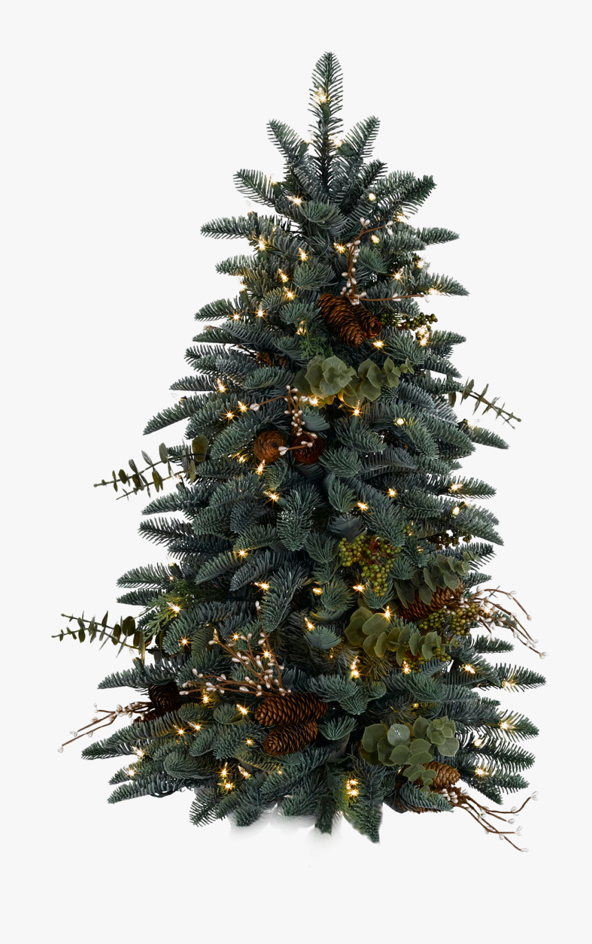 Christmas Tree - Christmas Tree Png, Transparent Png, Free Download