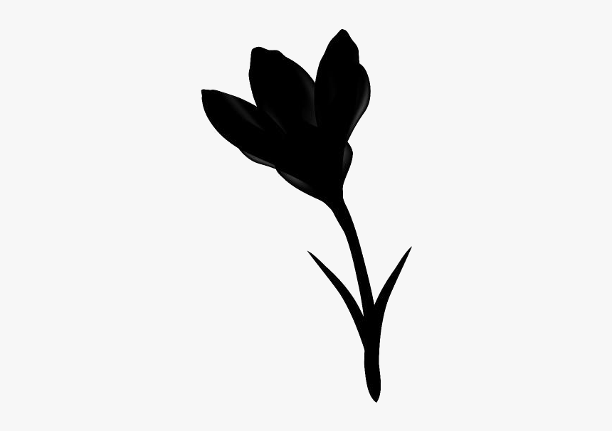 Cute Crocus Flower Transparent Background - Silhouette, HD Png Download, Free Download