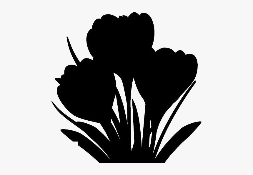 Crocus Flower Png Transparent Images - Illustration, Png Download, Free Download