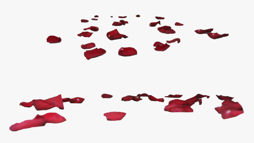 Rose Petal Png - Flower Petals On Ground, Transparent Png, Free Download