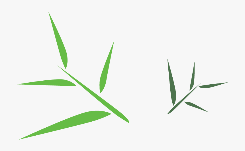 Download Bamboo Leaf Png Free Download Bamboo Leaves Clip Art Transparent Png Kindpng