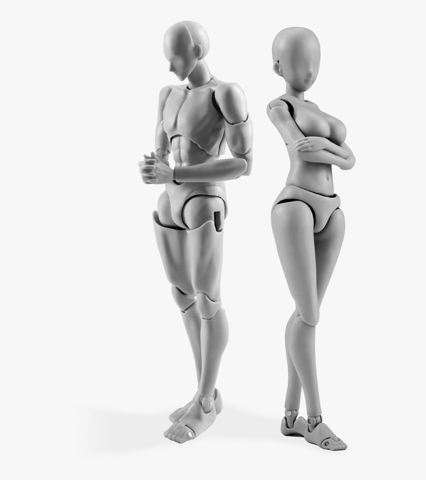 Transparent Manikin Png - Drawing Manikin, Png Download, Free Download