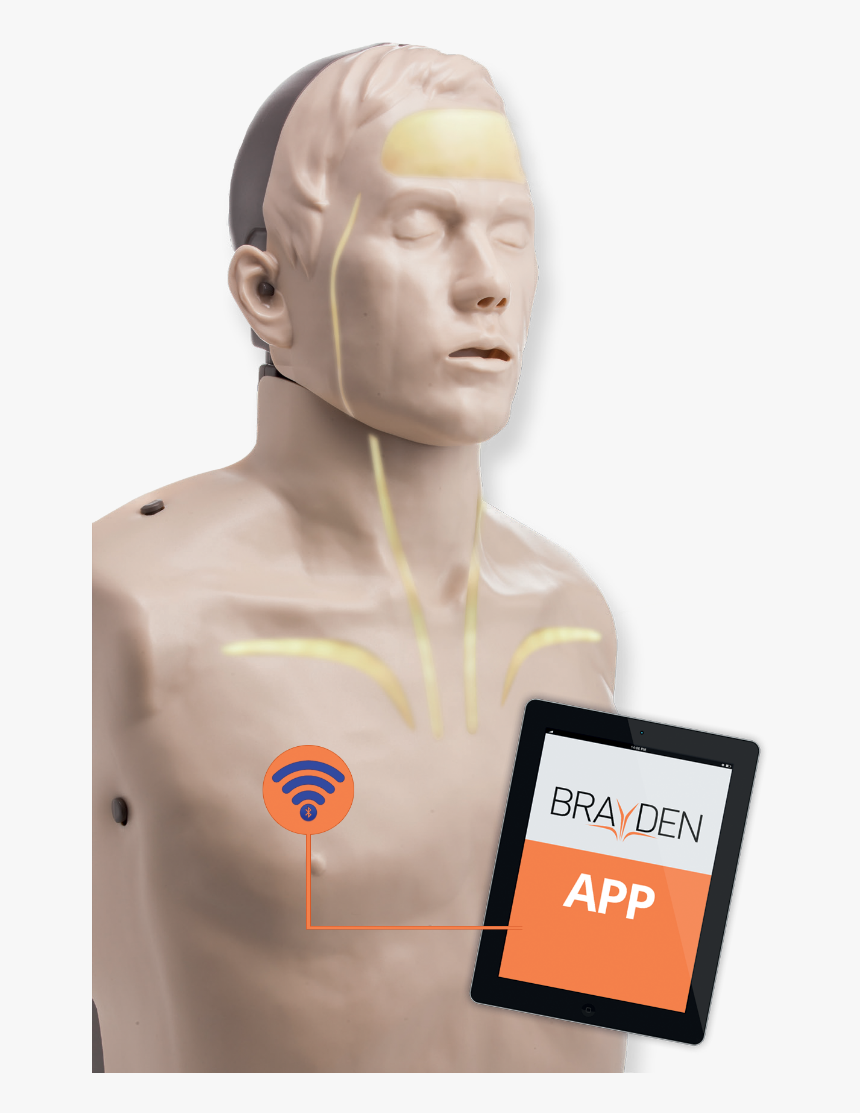 Brayden Pro Manikin - Bust, HD Png Download, Free Download