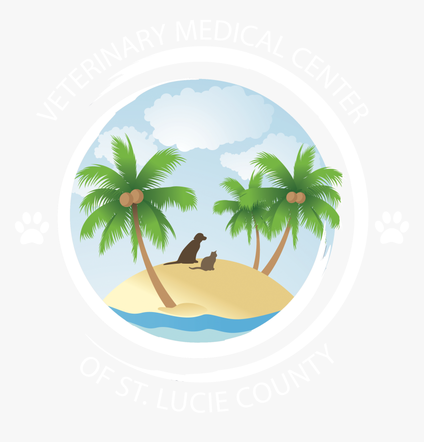 Animal Hospital In Port St - Graphic Design, HD Png Download, Free Download
