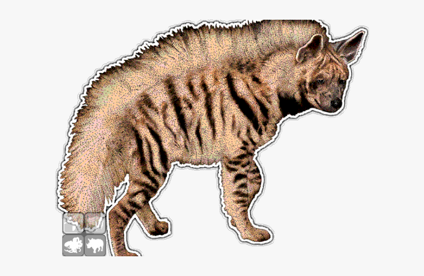 Hyena Clipart Mammal - Striped Hyena Png, Transparent Png, Free Download