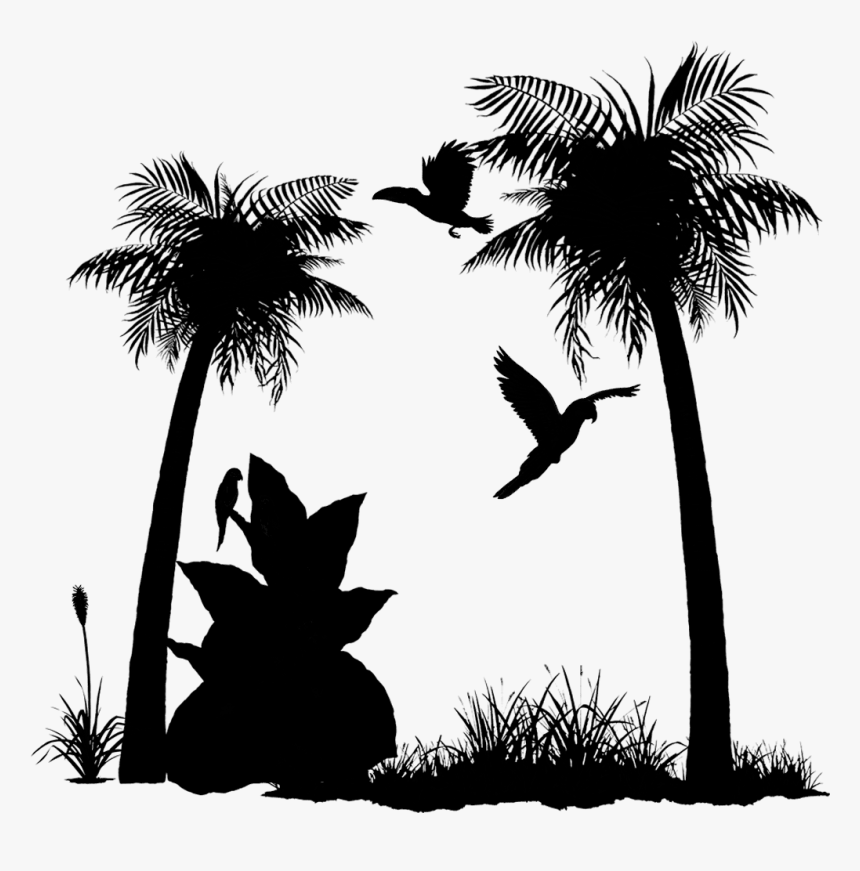 Asian Palmyra Palm Palm Trees Silhouette Sky Branching - Palm Tree, HD Png Download, Free Download