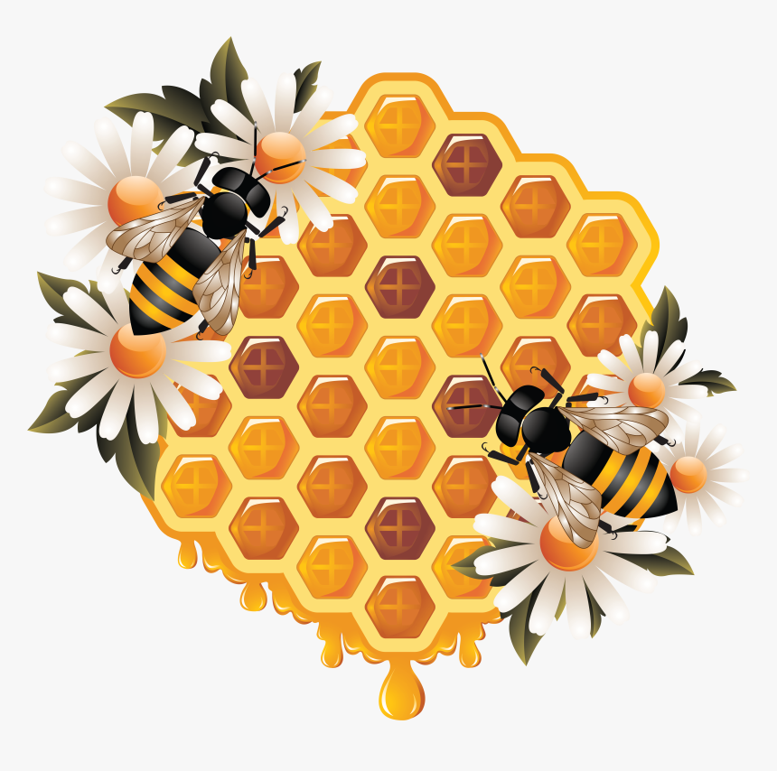 Honey Png - Bee On Honeycomb Drawing, Transparent Png, Free Download