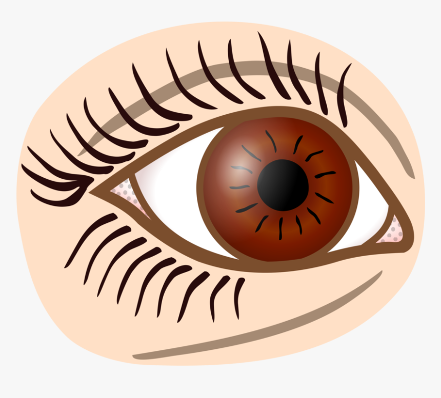 Iris,close Up,eye - Eye Lineart, HD Png Download, Free Download