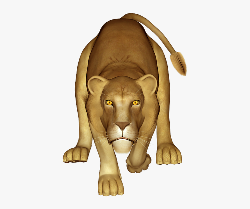 Masai Lion, HD Png Download, Free Download