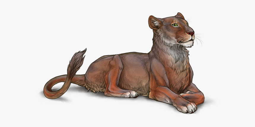 Ocyungi - Dark Colored Lioness, HD Png Download, Free Download