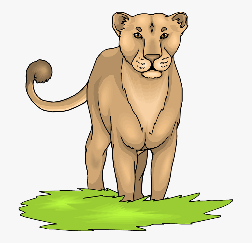 Free Head Lioness Clipart, HD Png Download, Free Download