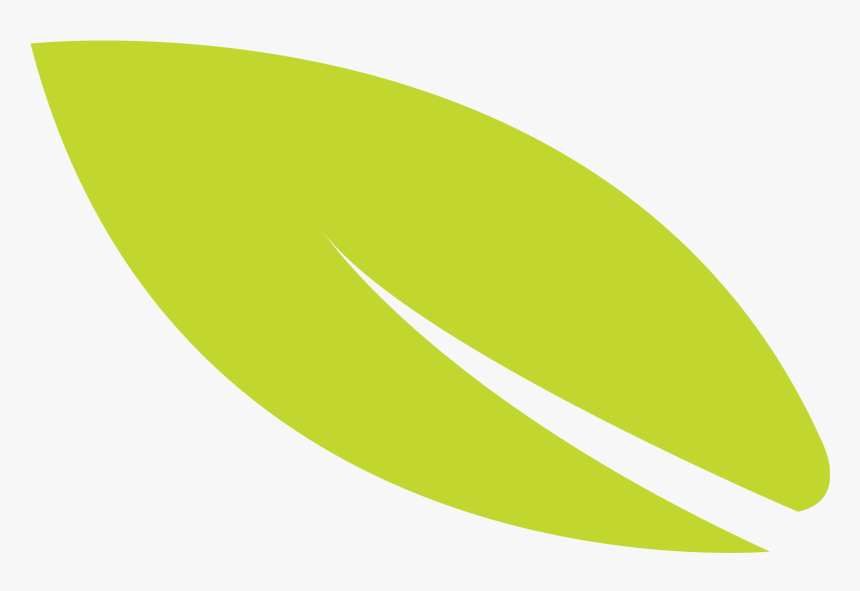 Gural Jcc Leaf Icon - Oval, HD Png Download, Free Download