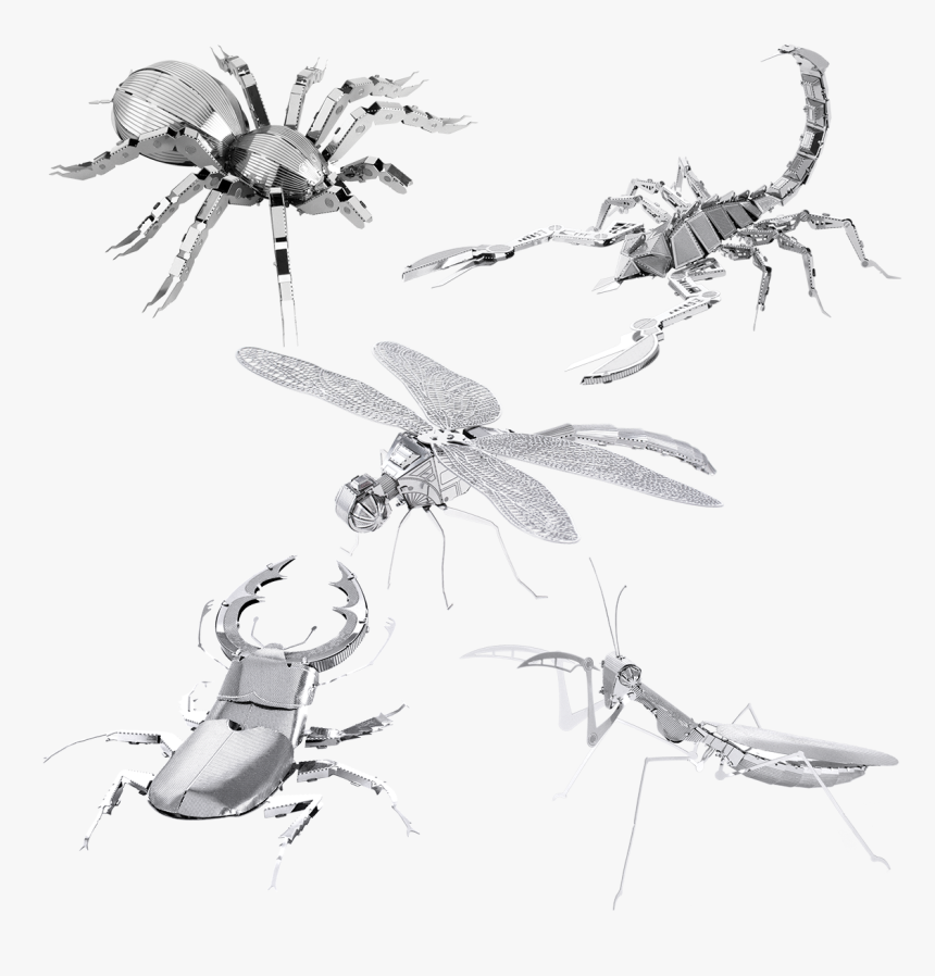 Metal Earth Bugs, HD Png Download, Free Download