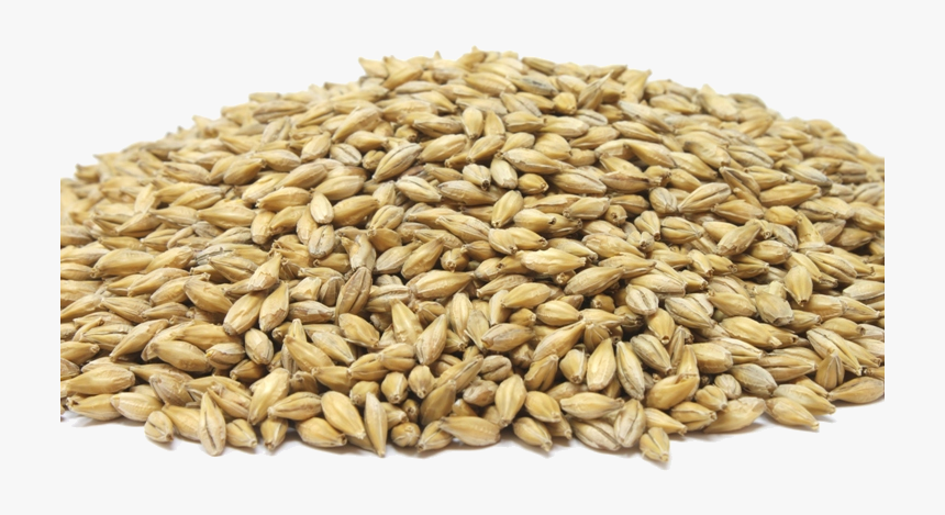 Dinkel Wheat, HD Png Download, Free Download