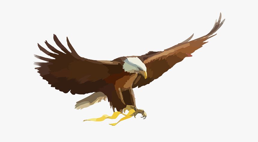 Eagle Cartoon Png, Transparent Png, Free Download