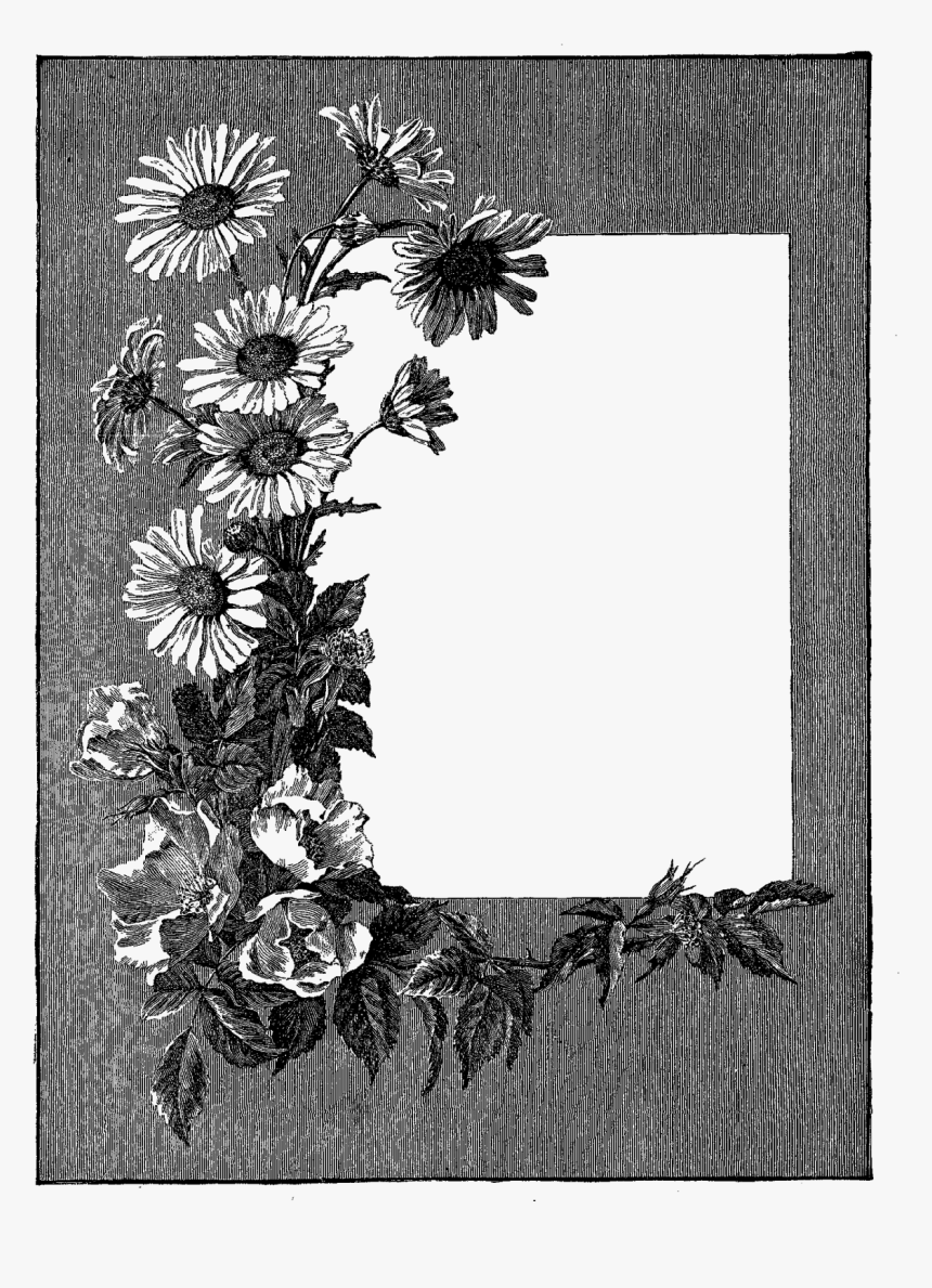 Gray Flower Frame Png Photos - Flower Frame Png, Transparent Png, Free Download