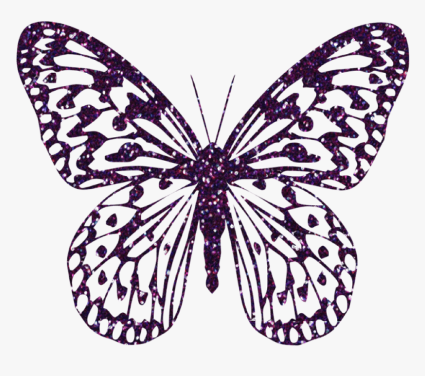 Purple Decorative Butterfly Png Clipart Image Pink Butterflies