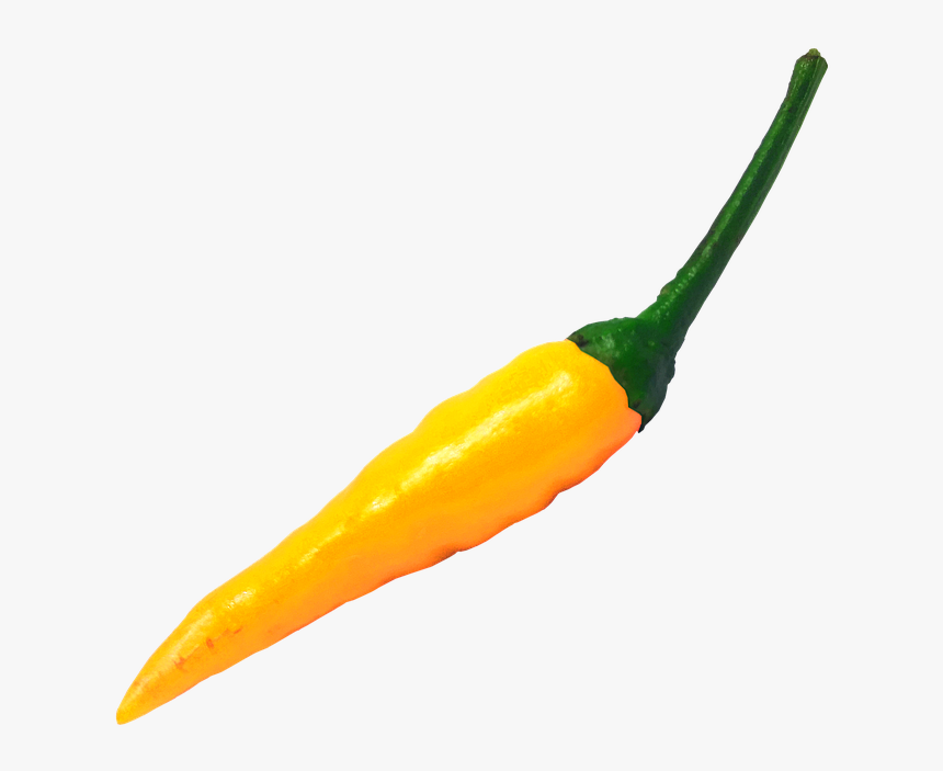 Tabasco Pepper, HD Png Download, Free Download