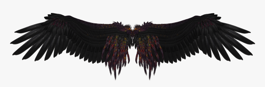 Wings Png Download - Black Angel Wings Art, Transparent Png, Free Download