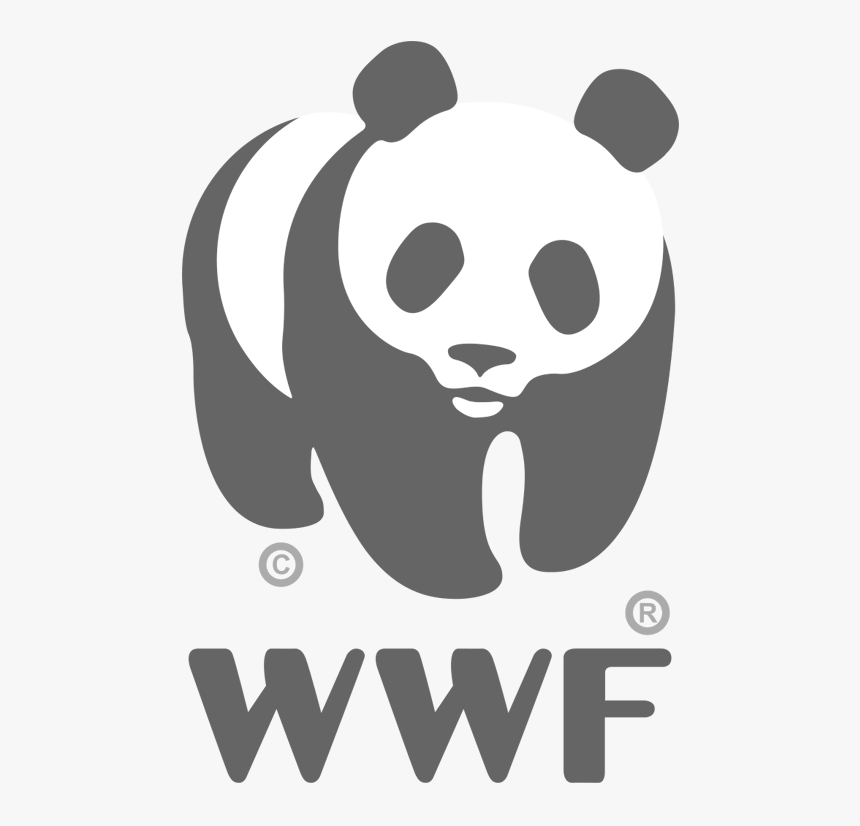 World wide fund. Всемирный фонд дикой природы WWF. Фонд дикой природы WWF логотип. Панда символ Всемирного фонда дикой природы. Панда символ WWF.