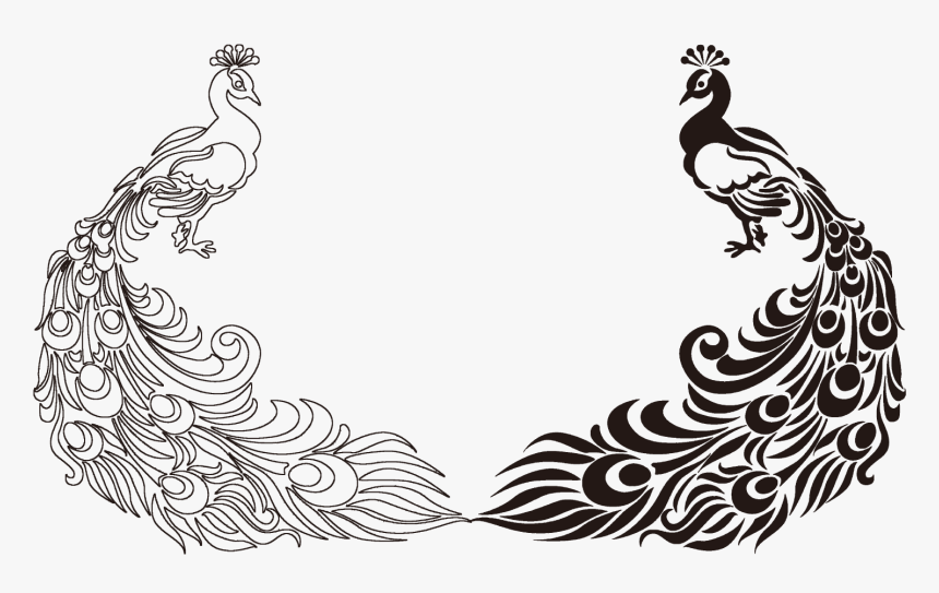Featured image of post Peacock Png Black And White / Bald eagle pig drawing, eagle outline s png.