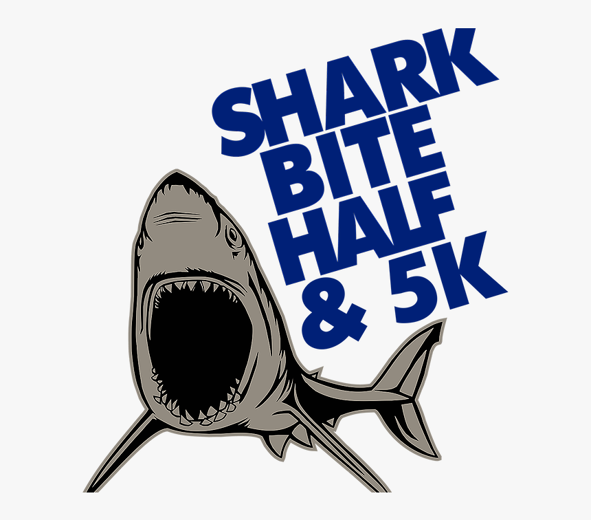 Shark Bite Half Marathon & 5k, HD Png Download kindpng