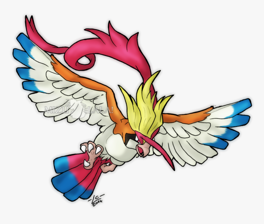 Transparent Pidgeot Png - Pidgeot Mega, Png Download, Free Download