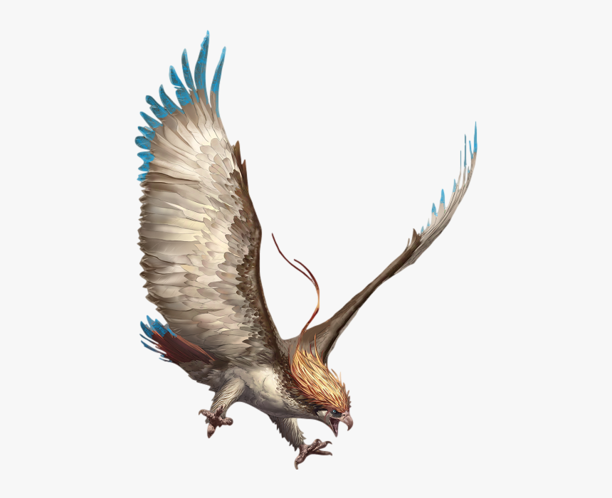 Pidgeot Arvalis, HD Png Download, Free Download