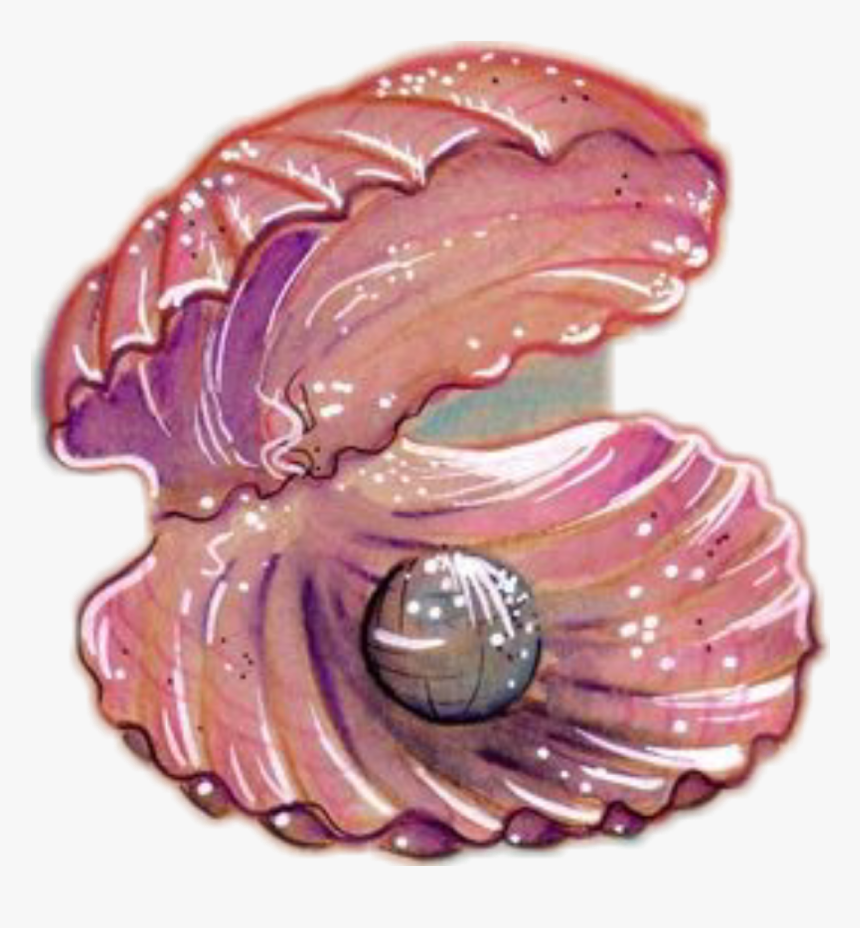 Shell Sea Pearl Seashell Ocean Pink - Shell, HD Png Download, Free Download