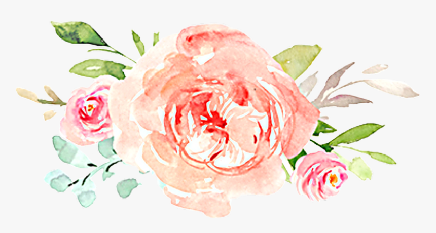 Garden Roses, HD Png Download, Free Download