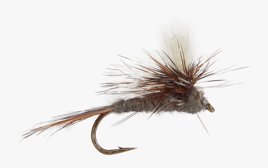 Adams Parachute Fly, Mayfly Pattern For Trout, Adams - Fishing Fly Png, Transparent Png, Free Download