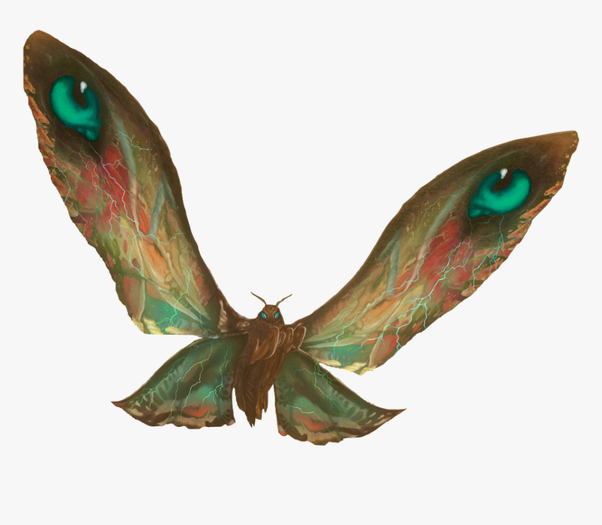 Landon Avery - Mothra Png, Transparent Png, Free Download