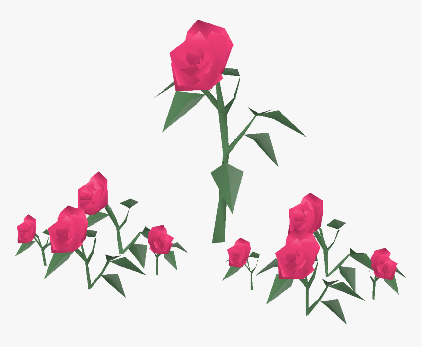 Old School Runescape Wiki - Garden Roses, HD Png Download, Free Download