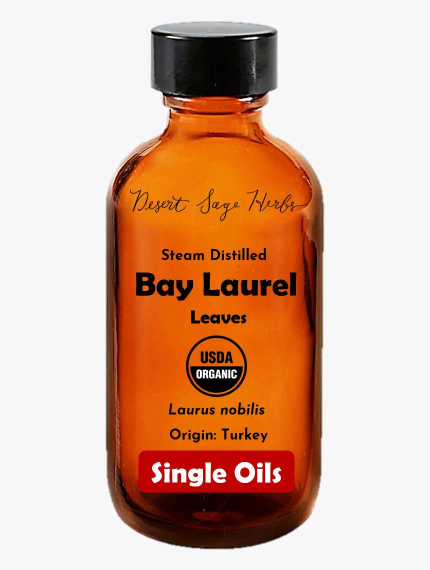 Bay Laurel, HD Png Download, Free Download