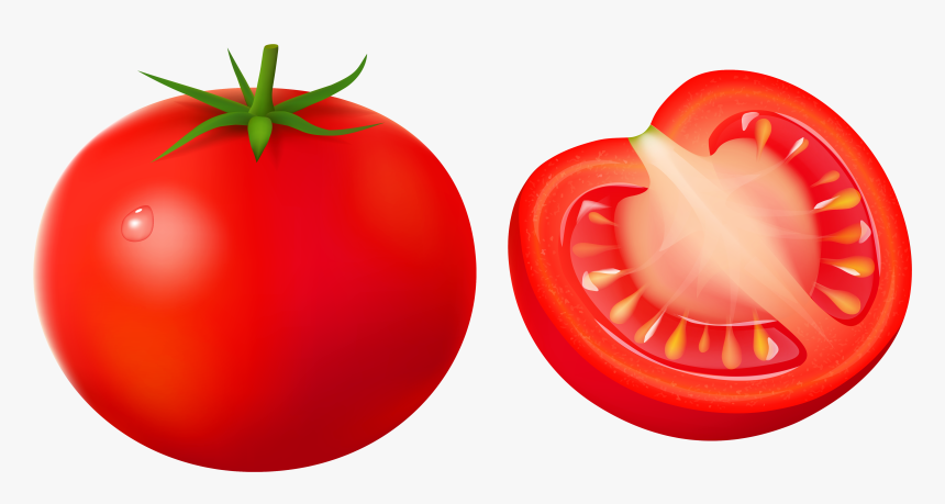 Transparent Onions Clipart - Transparent Background Tomato Clip Art, HD Png Download, Free Download