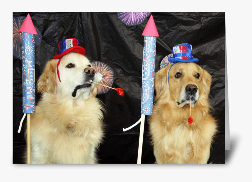 Fireworks For The Fourth Greeting Card - Golden Retriever, HD Png Download, Free Download