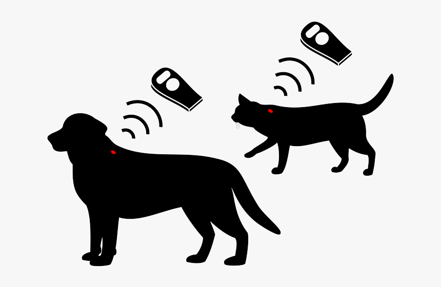 Pet Microchip Png, Transparent Png, Free Download