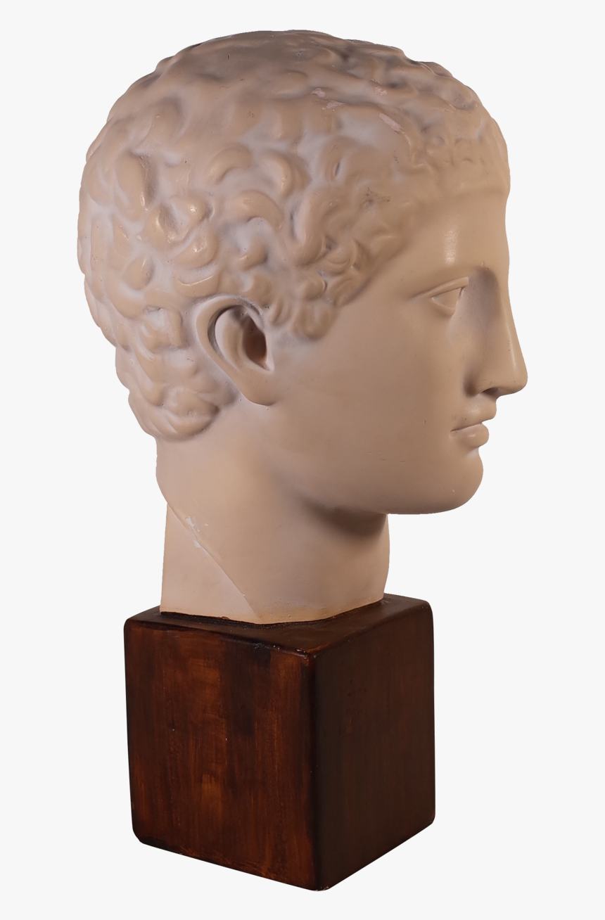 Plaster Bust Of Roman Male - Bust, HD Png Download, Free Download