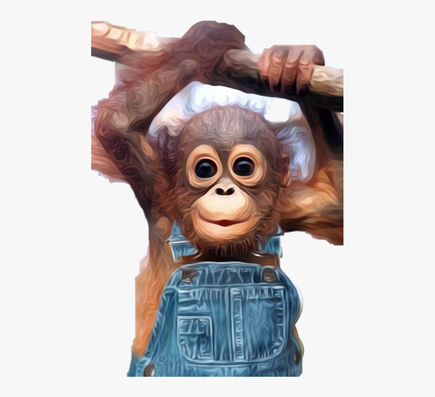 #monkey #babymonkey #freetoedit - Orang Utan Baby, HD Png Download, Free Download