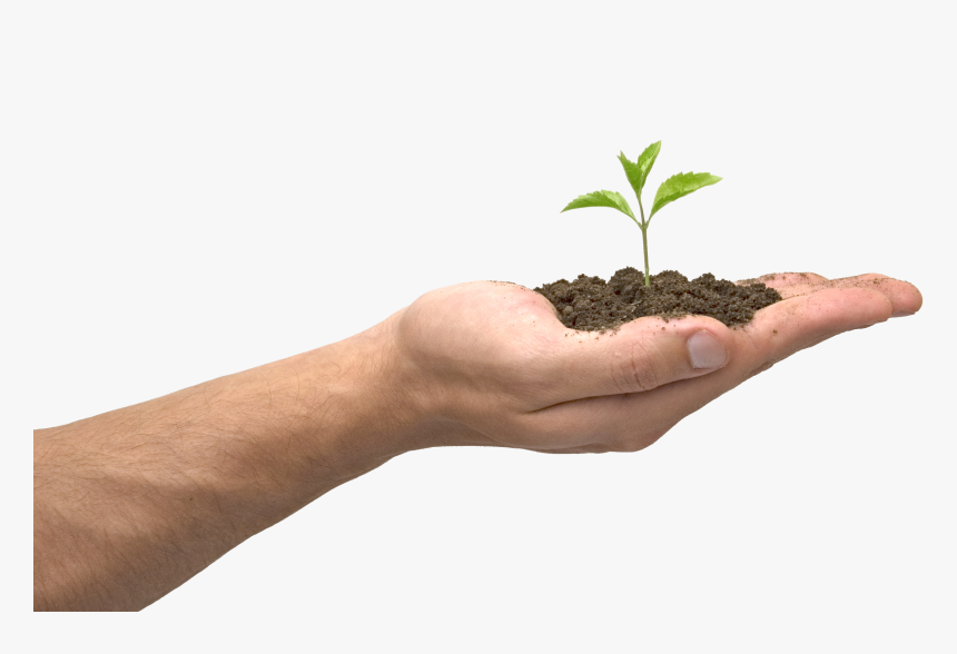 Soil In Hand Png - Soil In Hand, Transparent Png, Free Download