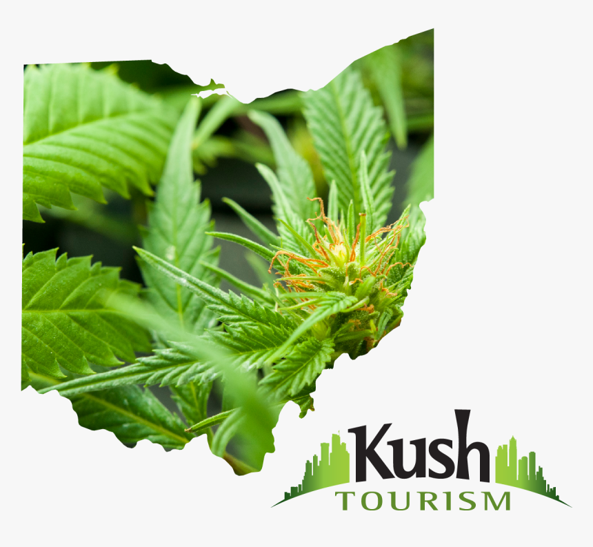 Ohio Joint Travel Regulations Images Ohio Marijuana - Indiana Marijuana, HD Png Download, Free Download